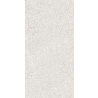 STONEHENGE LIGHT GRAY 60x120 (6114) RECT 